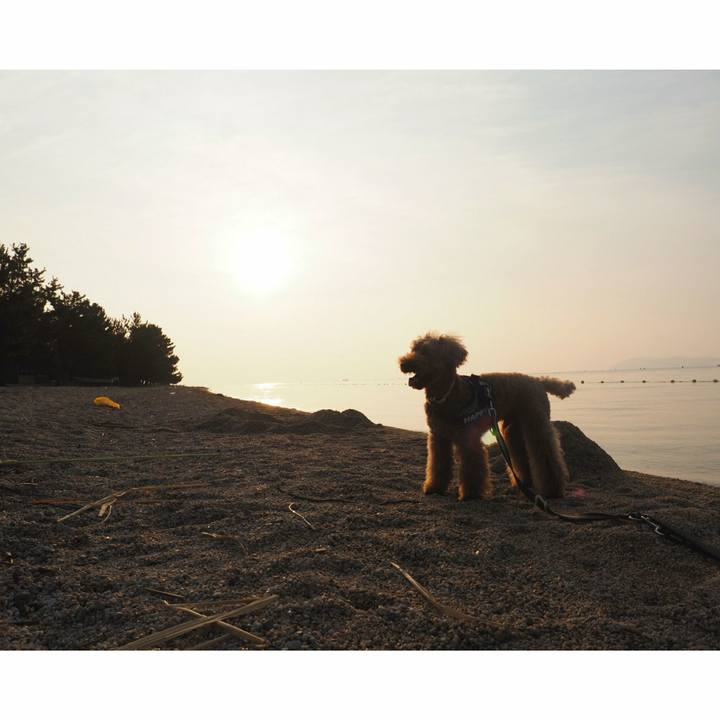 9eb22720 373b 4e5a 90d5 e89622264bdc 1531722006045