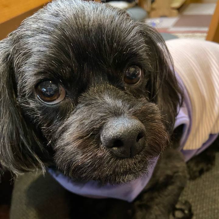 9eb22d71 71fb 41da ab69 ab1e19ba05a7 1707381419944