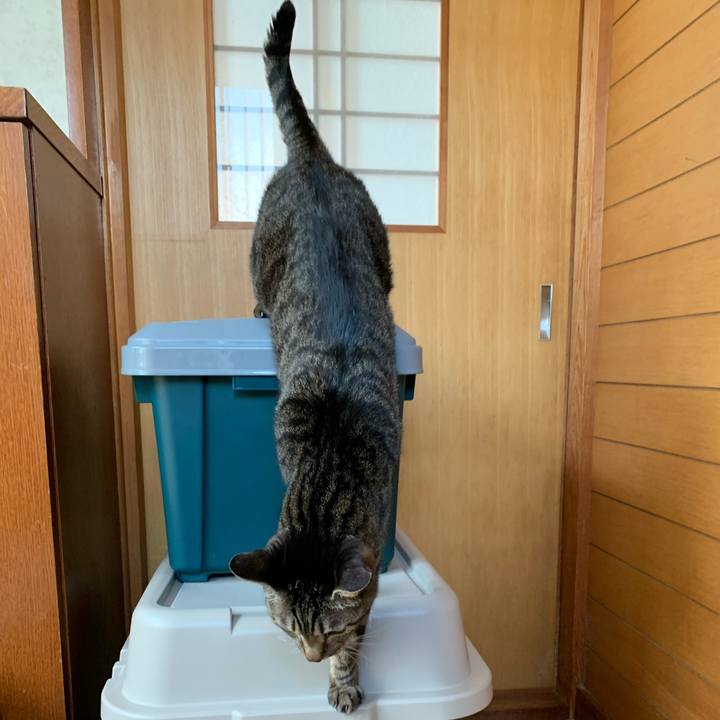 9eb2731d 937f 411b 86d4 e3f0a3ef6927 1586479920123