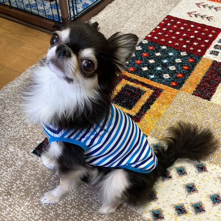 9eb2a9f9 c3f6 4e3f ba04 18b7479f58b5 1696694169484