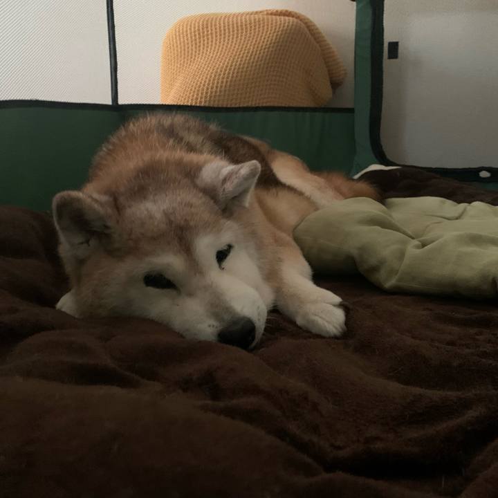 9eb2c542 e3f7 48b6 afc4 9901c6cf7c43 1698274796769