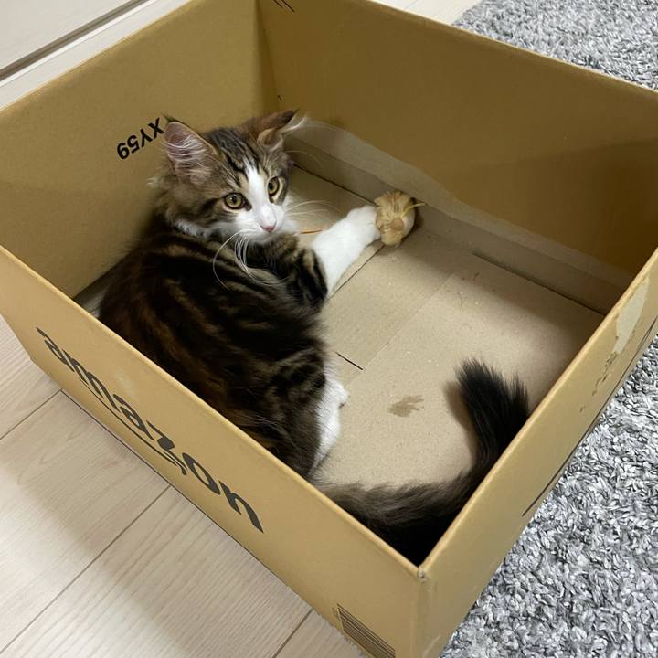 9eb2ef8f d237 406c ba04 8a08105d24ac 1634030288834