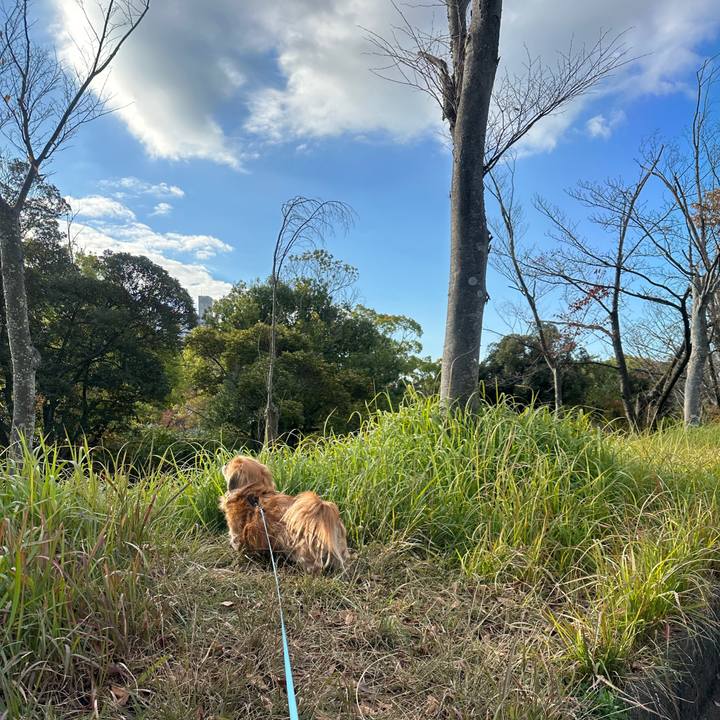 9eb32997 9e1c 4d49 84fc 1e2175089dfd 1700359319478