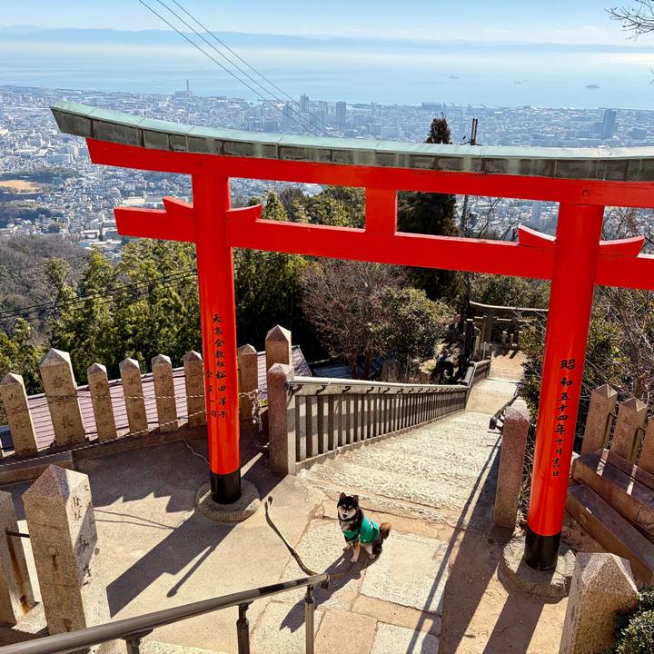 9eb33a37 4c79 4226 88e7 af13cba6634e 1768048848778