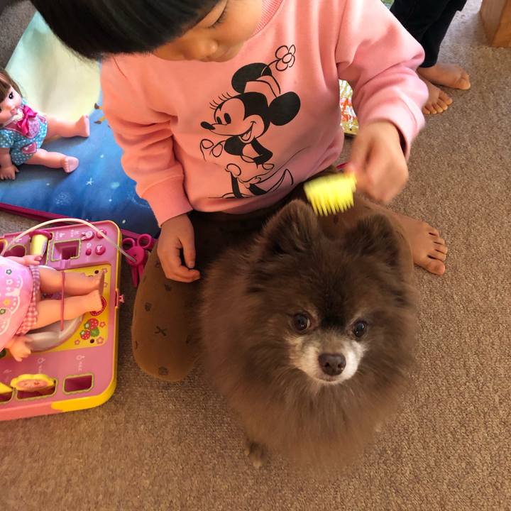 9eb34595 bca9 4fdf ad97 5d9a91318e6c 1611619818985