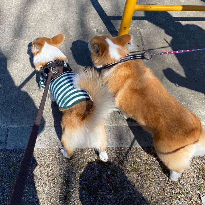 9eb398a2 c549 479c 943e 10ab435fed2a 1582782134046