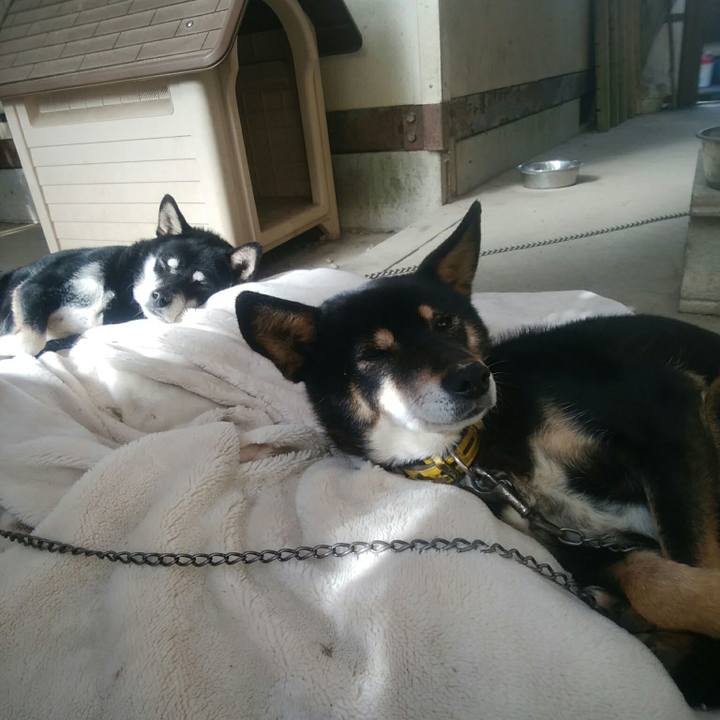 9eb3ad96 21a0 44f0 9079 8cc2216ea8c9 1546479408755