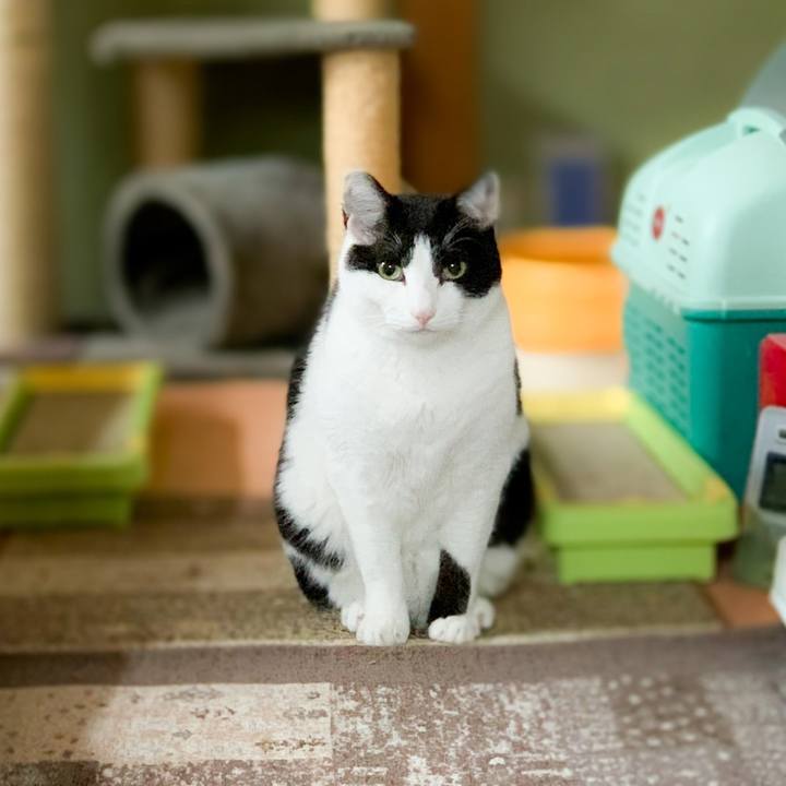 9eb3bfc1 39b9 482d a52d 87af25ba3e05 1588126077008