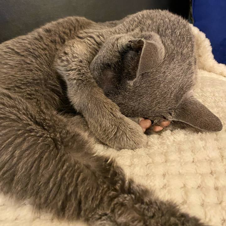 9eb3e569 6b16 46b7 a466 297fcc6bb323 1636512871700