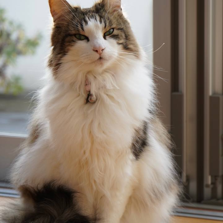 9eb3ed8d 811d 418a 905f e1a42a7d29c8 1644915848837