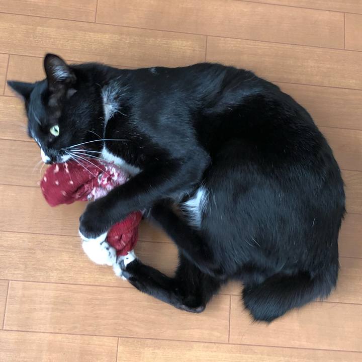 9eb416c6 1822 460f 9712 392043ff2bcf 1606362291542