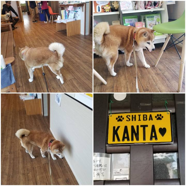 9eb4366b 62e0 484d a8bc 2d6d5fdca49b 1746761964525