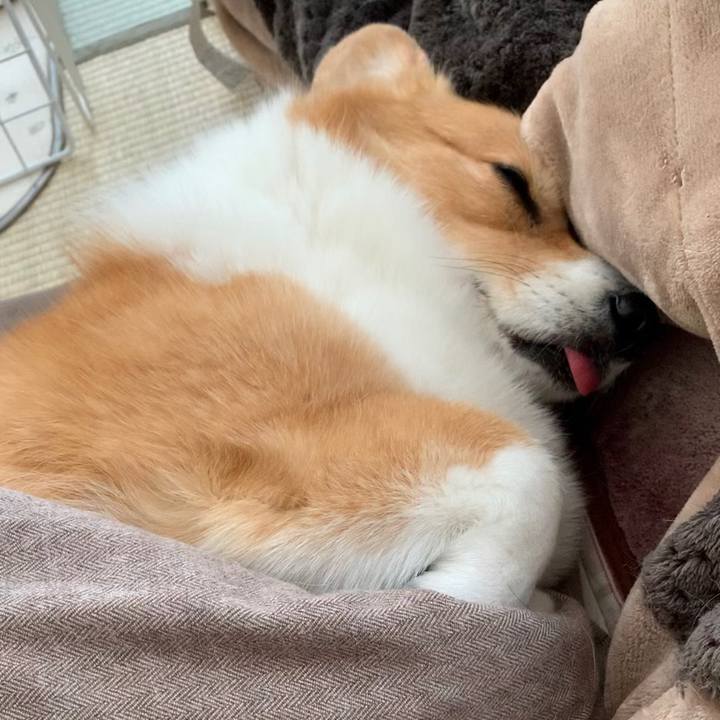 9eb43d06 f7fd 4958 a4e5 ffa4bfe77de7 1670737684622