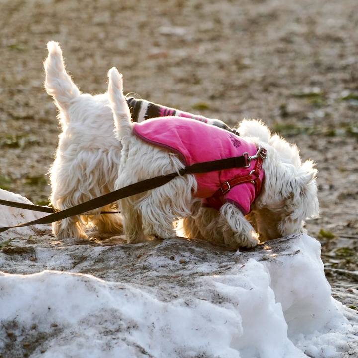 9eb443da 940c 43e1 9dfd f150b7cc70e0 1517229202101