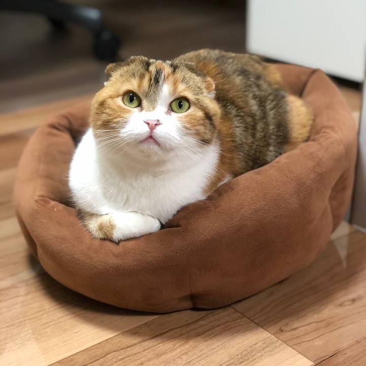 9eb448a0 90a3 4f5d 8773 7c8a63074f0f 1588948592398