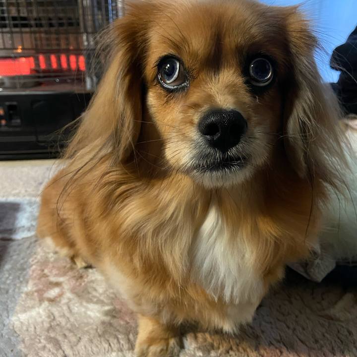 9eb45b1f 511a 47e1 96e9 e87a9e16612a 1607638408846