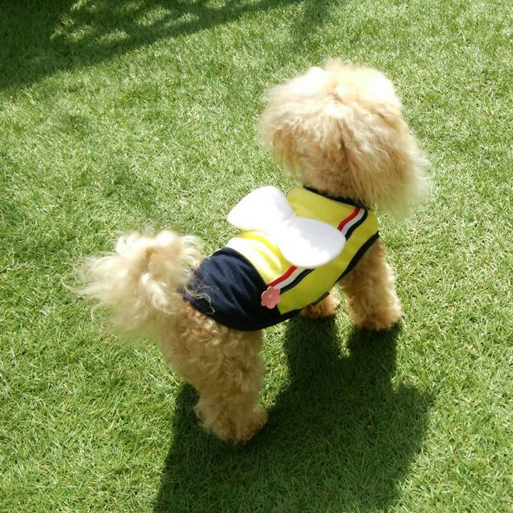 9eb47f50 1baf 4075 9405 e1d6ff031e5e 1553070033074