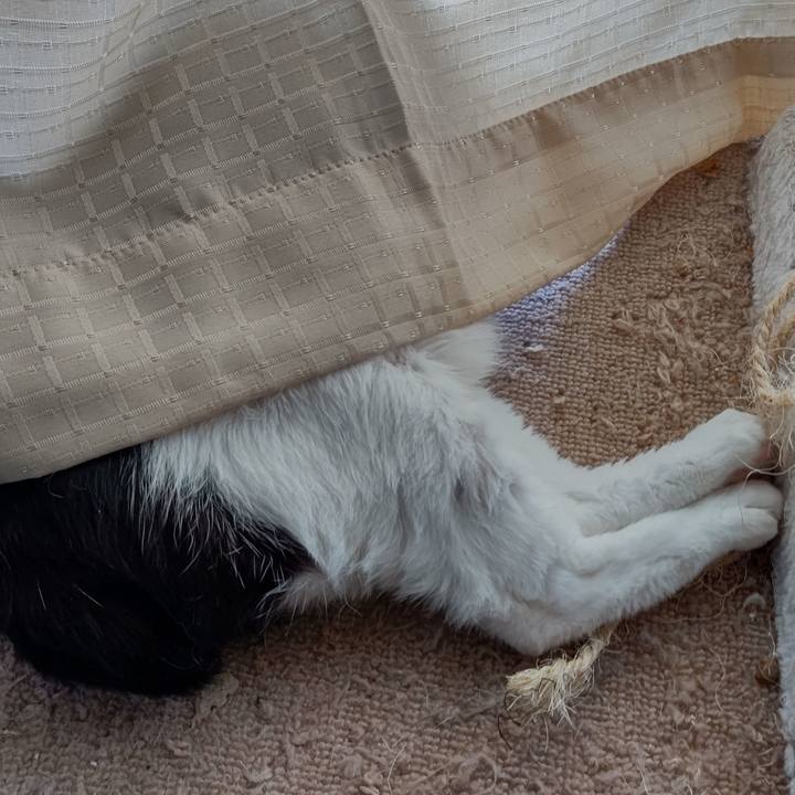 9eb4baa9 de98 4ea9 9255 f98167655aec 1650689114350