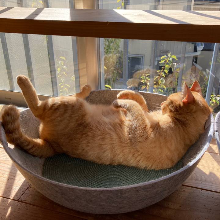 9eb4c2c0 fc6d 42bb 97b7 c0dc81d3b0bf 1636550704463