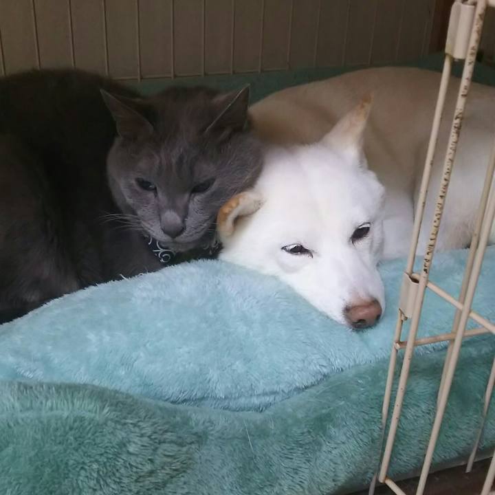 9eb4e858 9066 43d2 b5ed 4e5092816a94 1579186074370