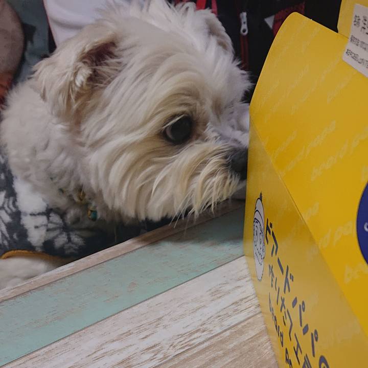 9eb4edcd 2073 4b86 99ad 9dc4cdabad95 1585456018758