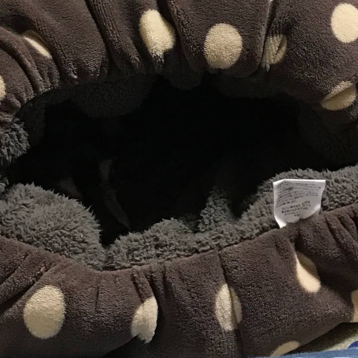 9eb4ef0f 1d46 429f 8173 eb25f8747066 1518778554830