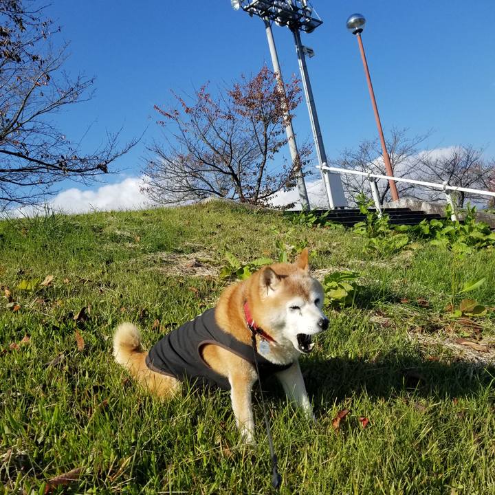 9eb4fcb4 86ba 479b 86b7 034a4f33de16 1731472550843