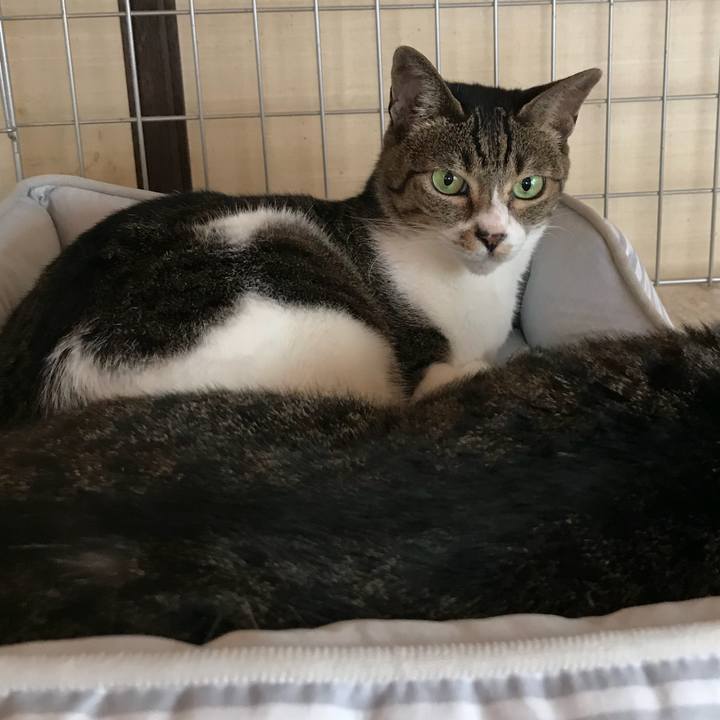 9eb500d4 0a58 4c61 906e f6a39b647fef 1533340239151