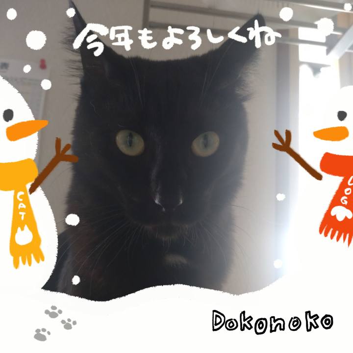 9eb5063a ce87 438e 9d96 39d7ea085437 1704080109587