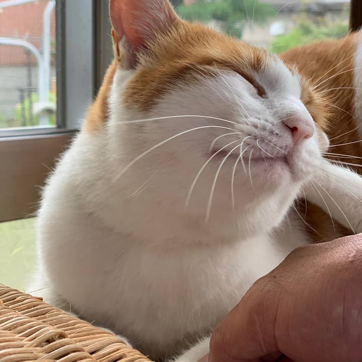 9eb55ca2 f4a9 42e3 b5fd 073c9a1affeb 1600597872756