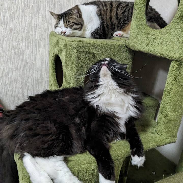 9eb5618e 12cb 4ee0 949d 09449c0618e2 1718615467634