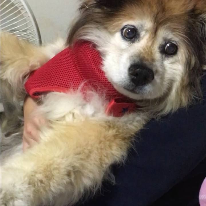 9eb57344 887f 40ca b5a8 a22cdb349329 1643201741523