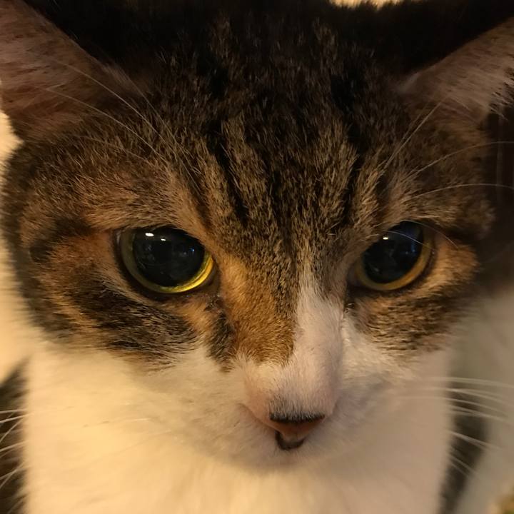 9eb58762 8a64 42f2 8c93 6b0b1ab62744 1536472936708