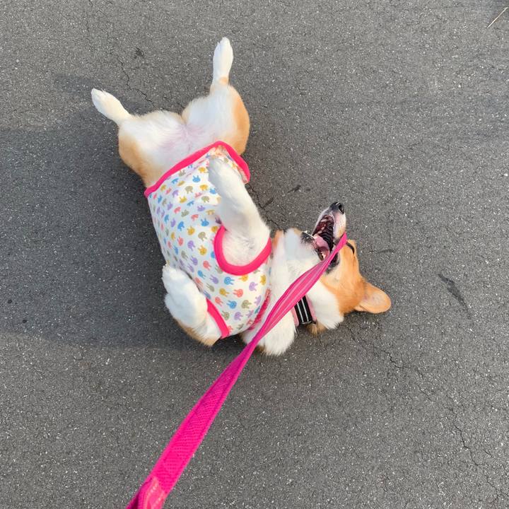 9eb599dc 4593 4b85 98cf 30ef50811ae8 1560847948958