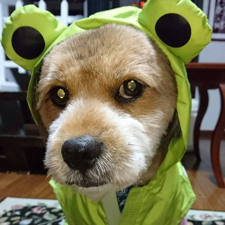 9eb5ae8a a440 4434 9f09 f0126b759f07 1536963287919