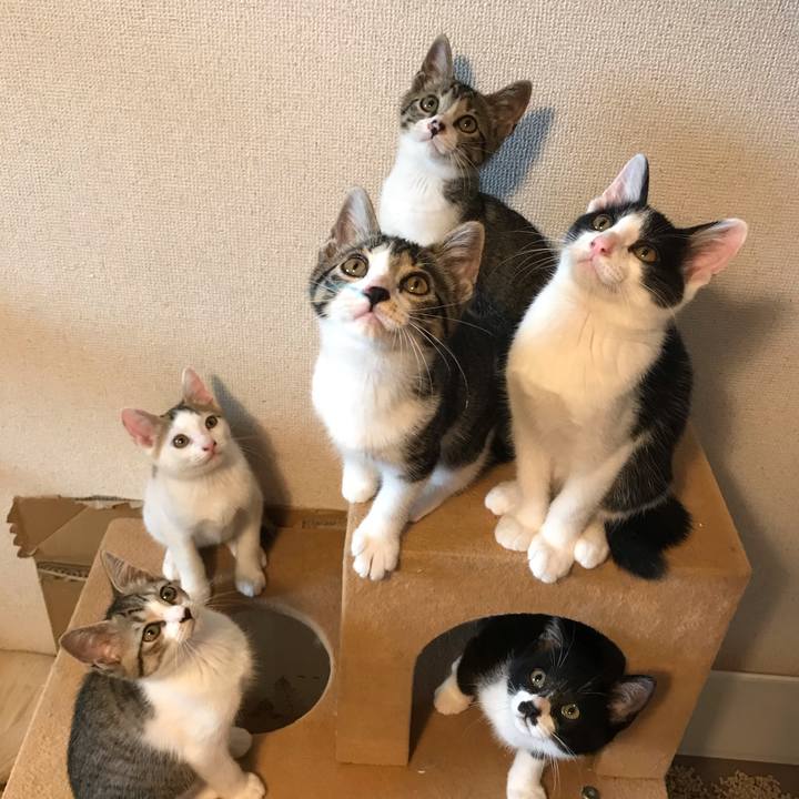 9eb5b0c9 9ed6 4ad7 bf1d 8b7862ac9d94 1595549403322