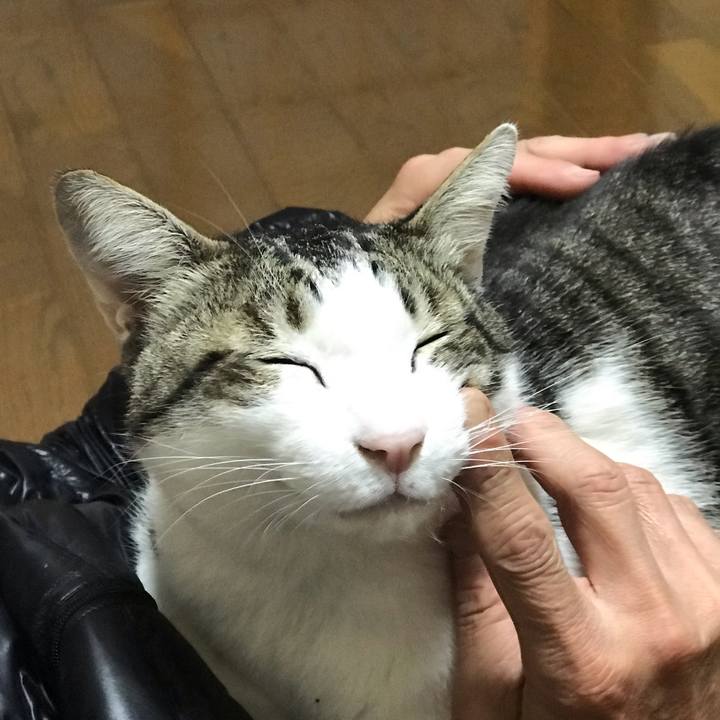 9eb60b08 d889 467c a5aa 886210b0c7e7 1549882212746