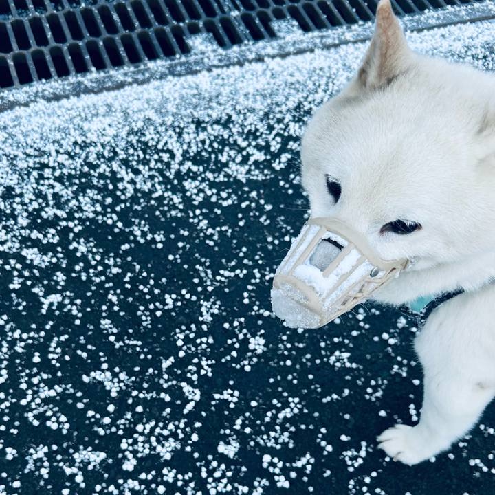 9eb62fa6 2dc9 41b3 9948 ed4a0d3e3d7e 1741300278603