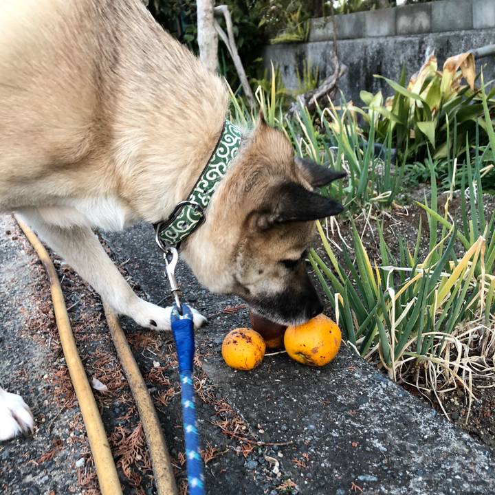 9eb64cdd af78 449d 8227 9bdc322719ce 1608640436299