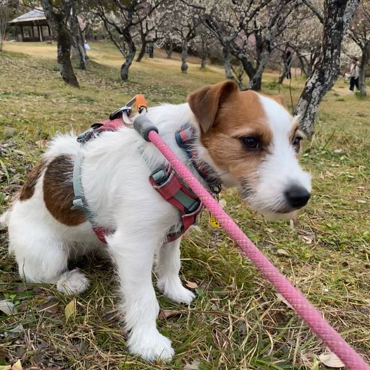 9eb66682 d22e 41a1 9a3f 7060607b4914 1771854161384