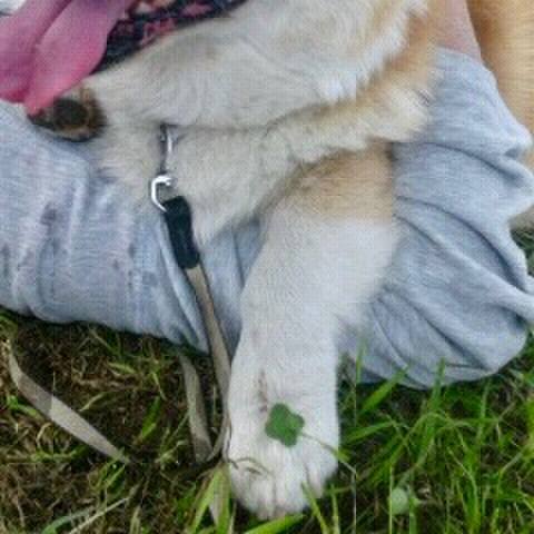 9eb68107 02c2 46d7 b0ec 5d048a2eaaf1 1525184137644