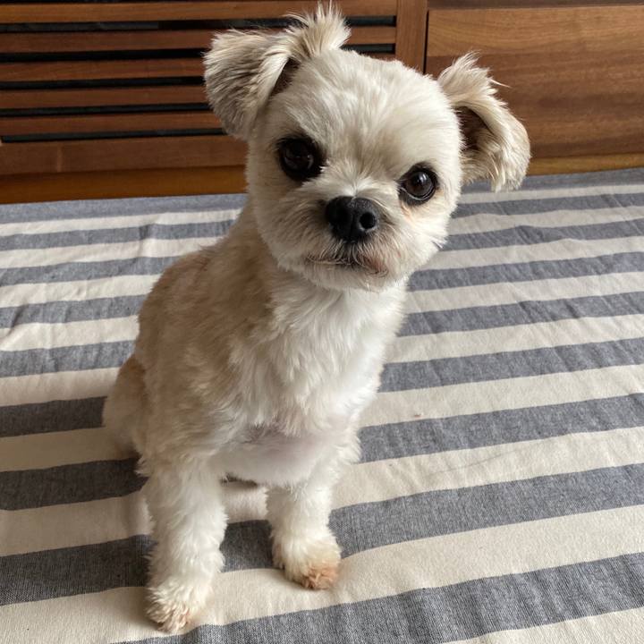 9eb690e4 11cd 4492 a200 a61838c614ff 1569502881049