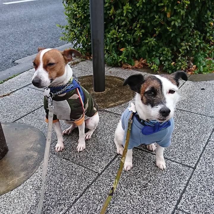 9eb69936 cd88 4653 94f3 a8f2bedc094b 1580250665987