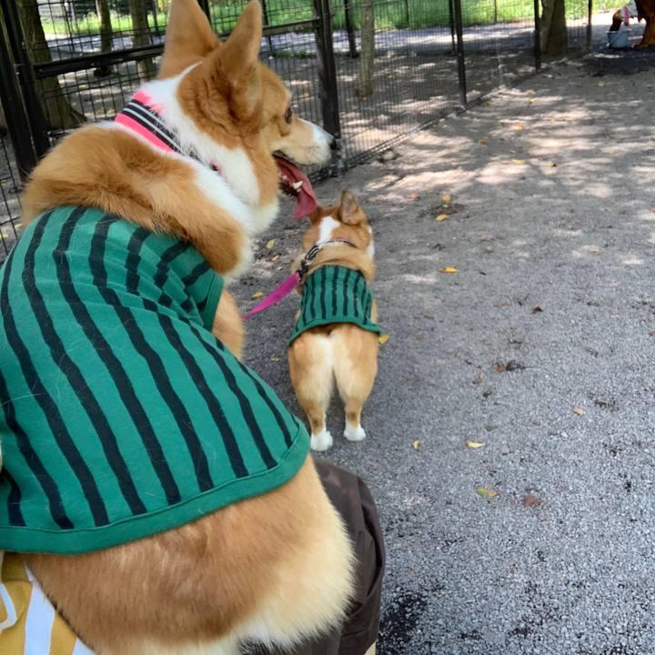 9eb6fa27 d647 4e3e 8cea a73456071355 1567297967827