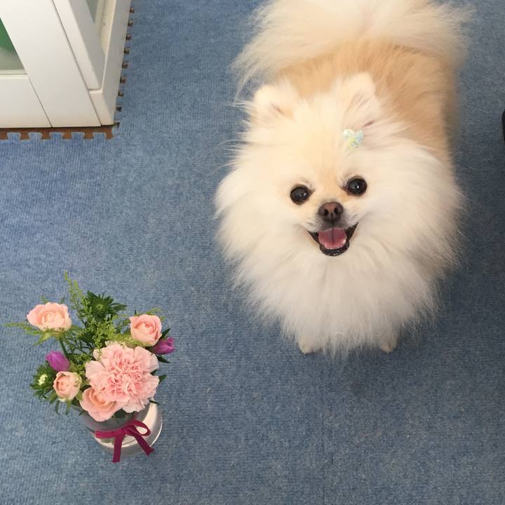 9eb701ef 3c1e 496b a5c7 1ddbadcaf3c8 1567305945052