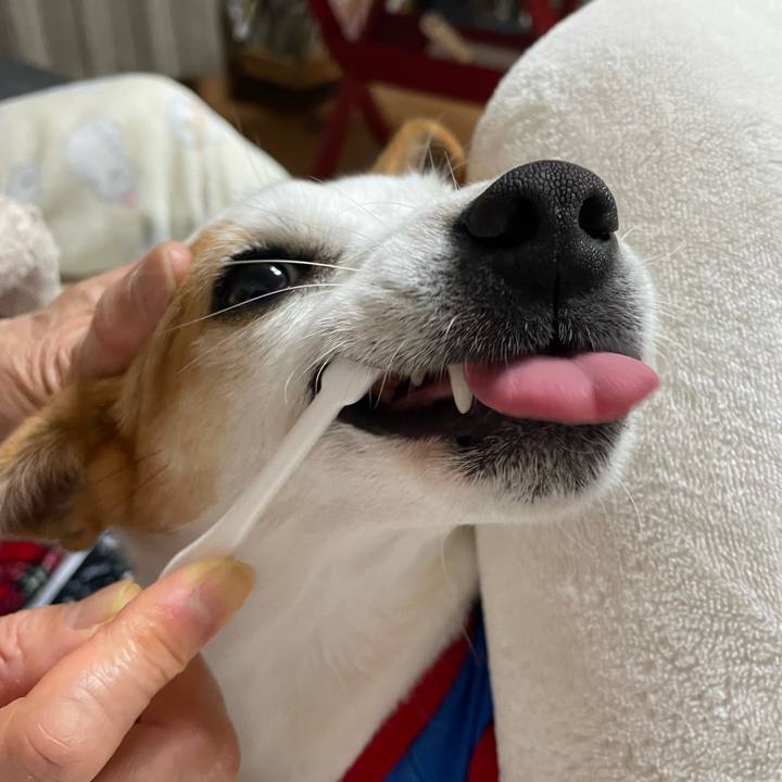 9eb7370a 4614 4a08 9e22 0b7a5d3a825b 1640179488627