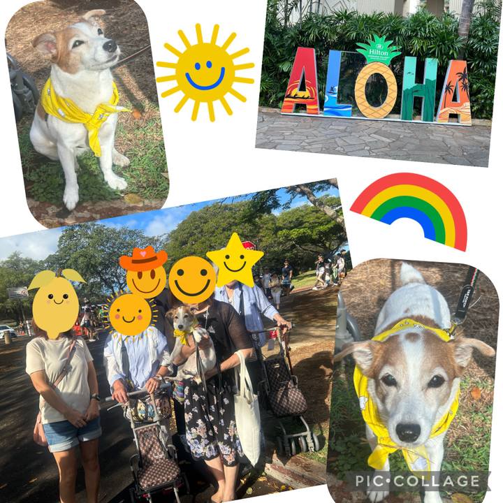 9eb73e09 e4de 424b 938a 8ea7c8343843 1701052233009