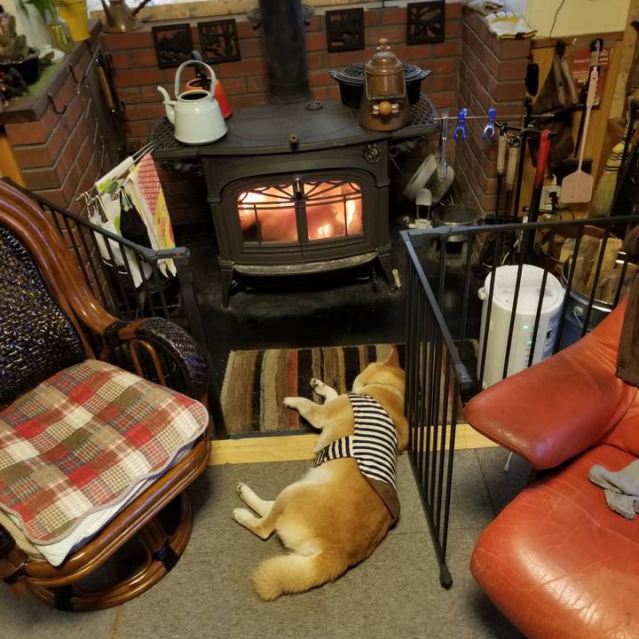 9eb75cef 0ad7 481b 82de 39f0708a90c2 1643842057511