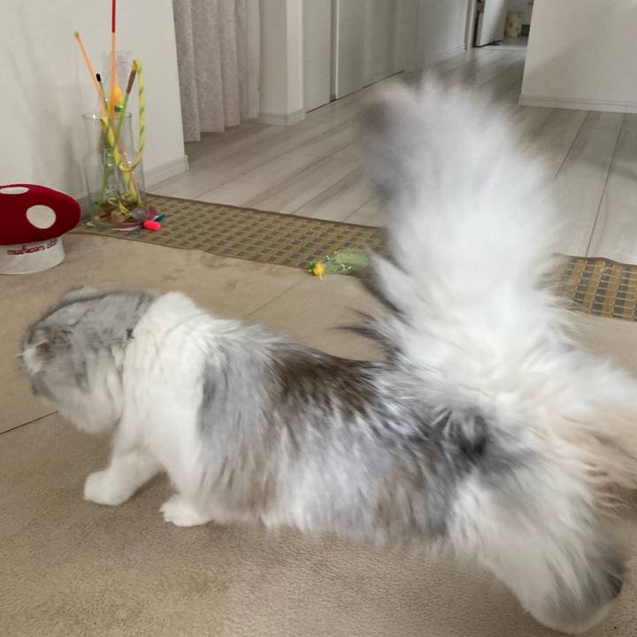 9eb76035 f418 4e19 94c1 97200141d2f2 1615030643619