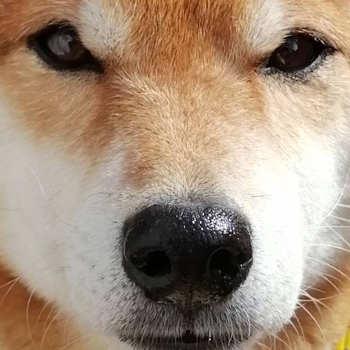 9eb76976 0aca 4e8f af26 77c0c9a69667 1614229012953